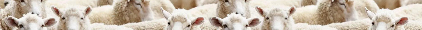 Hållbar produktion Nordicsheep.se